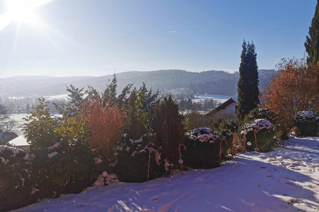 Chalet Bambi Blaibach 外观 照片